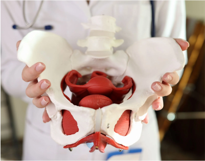 Urogynecology & Pelvic Floor Treatments